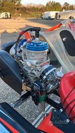 IAME IV OK  SENIOR
