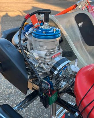 IAME IV OK  SENIOR