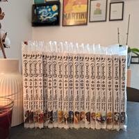 Overlord 1-19 serie completa (in corso)
