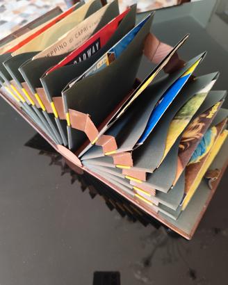 Dischi vinile con custodia.