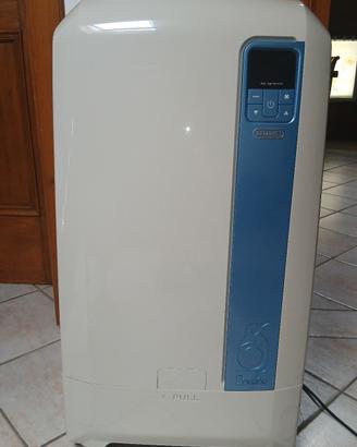 pinguino delonghi  pac we  110 Eco