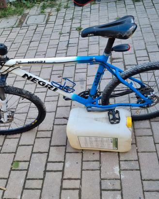 Mtb NEG..