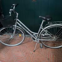 Bicicletta in alluminio