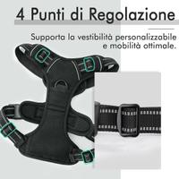 Rabbitgoo pettorina taglia M"