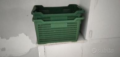 Cassette per olive impilabili DAN PLAST traforate