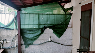 Struttura cartongesso