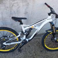 bici specialized enduro