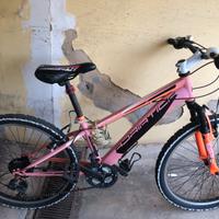 Mtb 24” adriatica età 9/12 anni