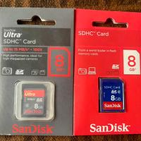 Coppia Memory Card SanDisk