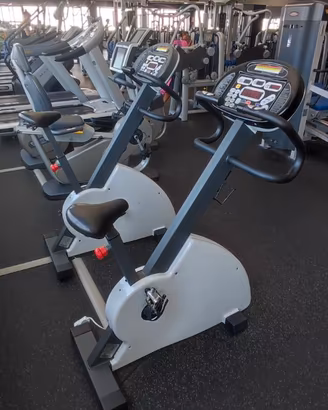 BIKE PALESTRA PANATTA