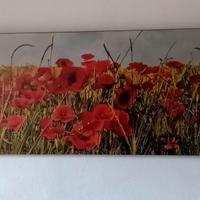 quadro papaveri