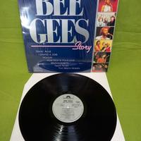 Disco LP 33 giri in vinile da collezione privata: