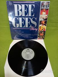 Disco LP 33 giri in vinile da collezione privata: