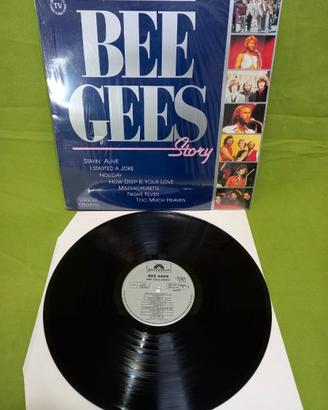 Disco LP 33 giri in vinile da collezione privata: