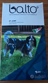 Balto tutore cane