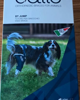 Balto tutore cane