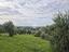 Immagine 9