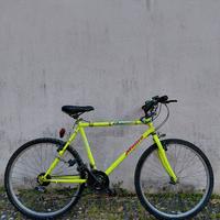 bicicletta mountain bike