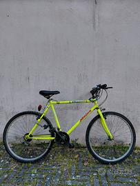 bicicletta mountain bike