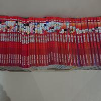 Inuyasha serie completa 1/67