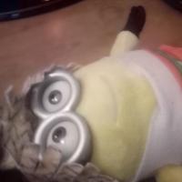 peluche minions