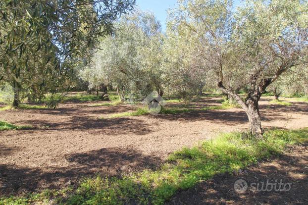 TER. AGRICOLO A ISOLA DI CAPO RIZZUTO