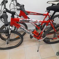 2 bici mountain bike bianchi dual come nuove 