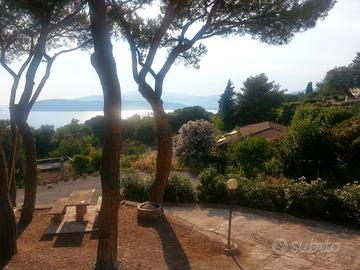 Isola d'Elba 700 mt dalla Spiaggia Pineta Privata