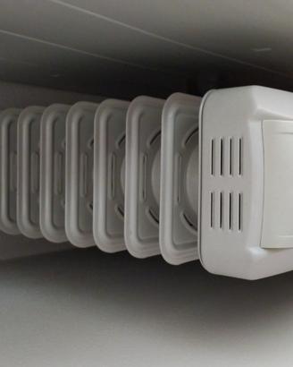 Termosifone radiatore elettrico Delonghi