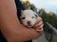 Immagine 4