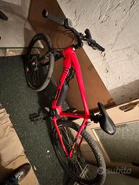 Bici elettrica