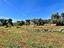 Immagine 27