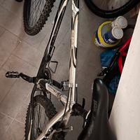 Bici Mtb