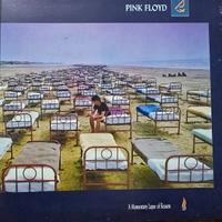 THE PINK FLOYD 
A momentary lapse of reason