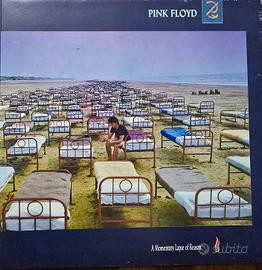 THE PINK FLOYD 
A momentary lapse of reason