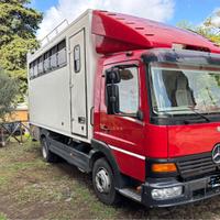 Camion van trasposto cavalli