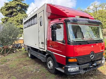 Camion van trasposto cavalli