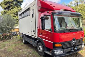 Camion van trasposto cavalli