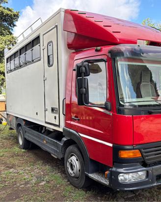 Camion van trasposto cavalli