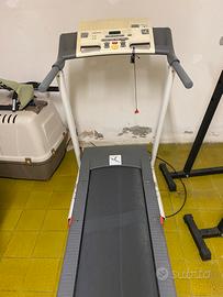 Tapirulan elettrico