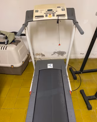 Tapirulan elettrico