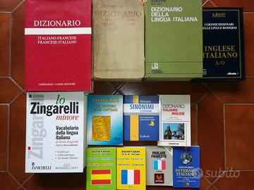 Dizionari Vocabolari N°17 tutte lingue e Internet