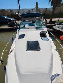Barca Sea Ray 240 7,5m