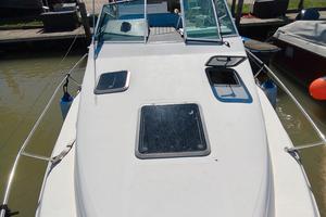 Barca Sea Ray 240 7,5m