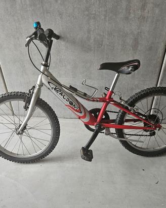 bicicletta da bambino 20 pollici