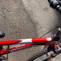 Bici 24 Eclipse Rider come nuova