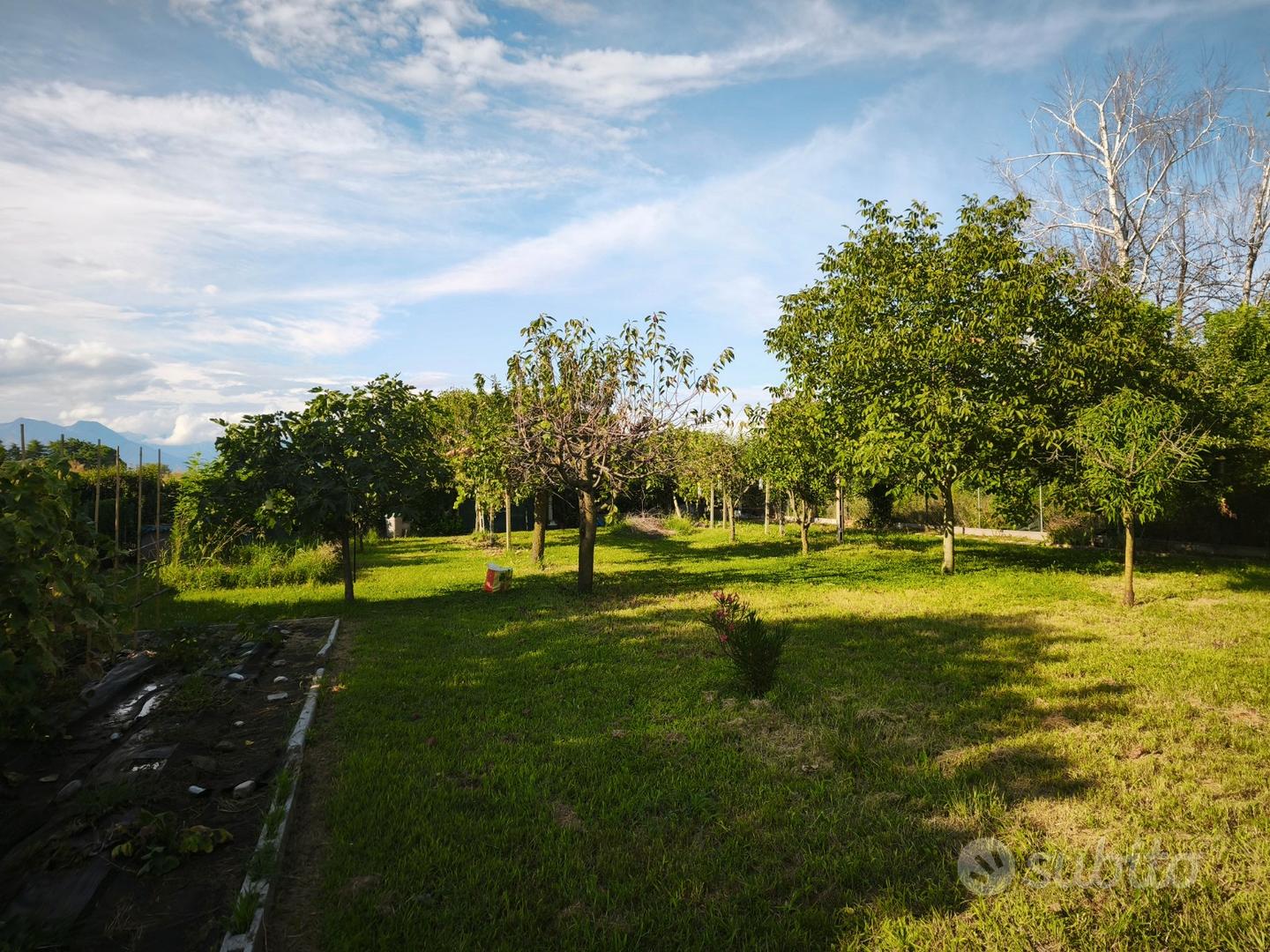 Terreno San Quirino - Vista 3