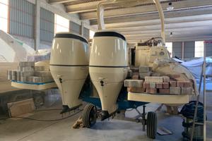 motore fuoribordo Suzuki df 250