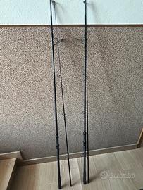Canne da carpfishing