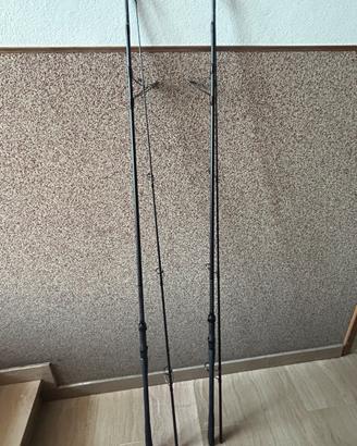 Canne da carpfishing